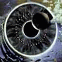 TN_258.jpg