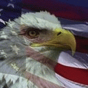 TN_284.jpg