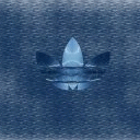 TN_343.jpg