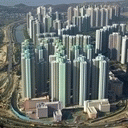 TN_445.jpg