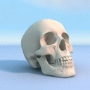 TN_449.jpg