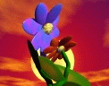 TN_530.jpg