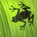 TN_533.jpg
