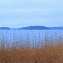 TN_566.jpg