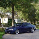 TN_593.jpg