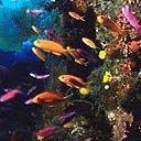 TN_598.jpg