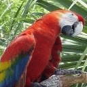 TN_648.jpg