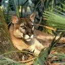 TN_672.jpg