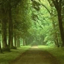 TN_696.jpg