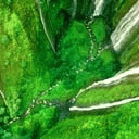 TN_702.jpg