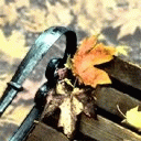 TN_740.jpg