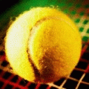 TN_798.jpg