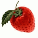 TN_816.jpg