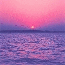 TN_821.jpg
