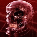 TN_823.jpg