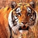 TN_835.jpg