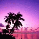 TN_855.jpg