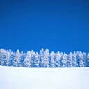 TN_870.jpg