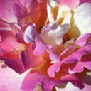 TN_Flower5.jpg