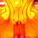 TN_Flower7.jpg